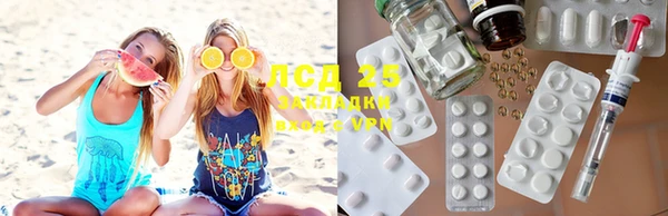 мяу мяу мука Баксан