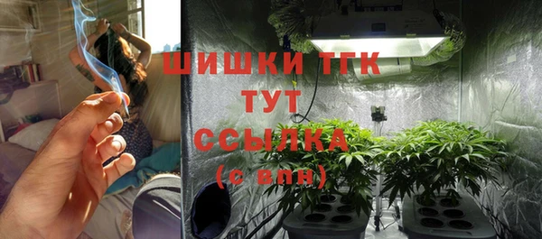 мяу мяу мука Баксан
