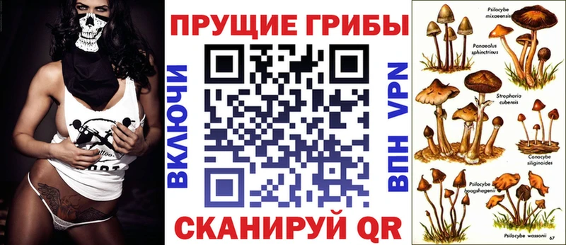 Псилоцибиновые грибы GOLDEN TEACHER  как найти наркотики  Рудня 