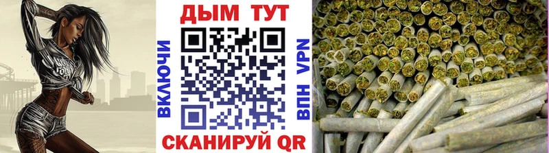 Шишки марихуана план  даркнет сайт  Рудня 